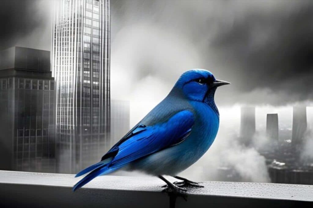 Blue bird perched on a ledge in front of a misty city skyline